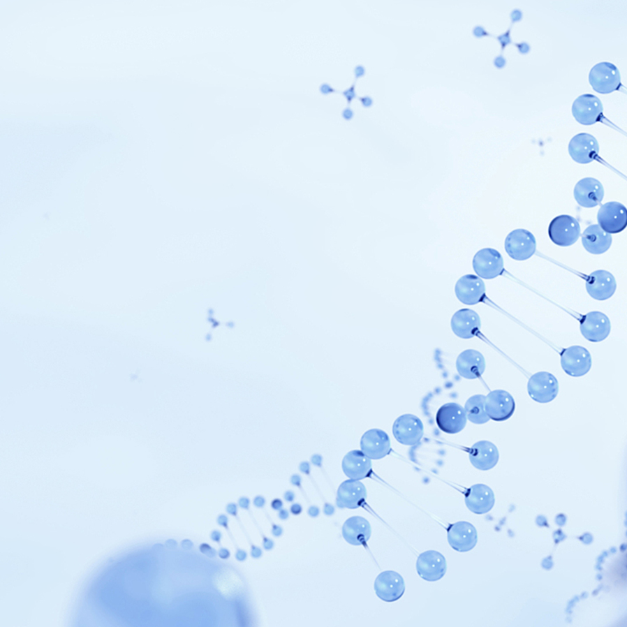 ÔÆ¶¥¹ú¼Ê¡¤(Öйú)Ψһ¹Ù·½ÍøÕ¾